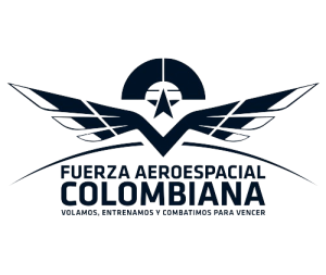 fuerzaAerea