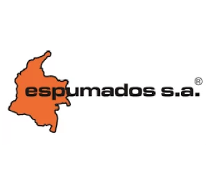 logos web espumados
